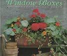 50 Spectacular Window...