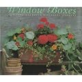 50 Spectacular Window Boxes (Step-by-step)