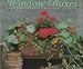 Books : 50 Spectacular Window Boxes (Step-by-step)