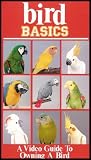 Bird Basics: A Video Guide To Owning A Bird