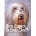 How Smart Is Your Dog: 30 Fun Science Activities With Your Pet