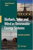 Biofuels, Solar and Wind as Renewable Energy Systems: Benefits and Risks