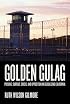 Golden Gulag: Prisons, Surplus, Crisis, and Opposition in Globalizing California (American Crossroads)