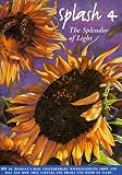 Splash 4: The Splendor of Light (v. 4)
