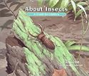 About Insects: A Guide for Children