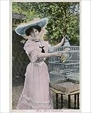 Photographic Prints of Marie Studholme Parrot from Mary Evans