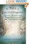 Tree of Enchantment: Ancient Wisdom and Magic Practices of the Faery Tradition