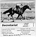 Horse Of The Century