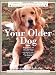 Your Older Dog