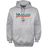 Miami Dolphins Ash Critical Victory Hoody Sweatshirt