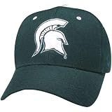Zephyr Michigan St. Spartans DHS Fitted Hat