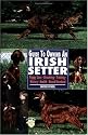 Guide to Owning an Irish Setter (Re Dog)