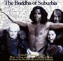 The Buddha Of Suburbia (1993 Television Mini-Series)