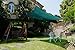 Cool Area Rectangle 13' X 19'8'' Sun Shade Sail for Patio in Color Green