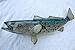 Signature Series-Spotted Trout Fish Replica-27 inch right facing