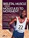 Skeletal Muscle: A Textbook of Muscle Physiology for Sport, Exercise and Physiotherapy: A Textbook of Muscle Physiology for Sport, Exercise, Physiotherapy and Medicine