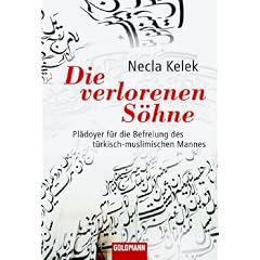 Die verlorenen Söhne (Broschiert)