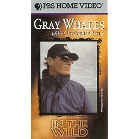 In the Wild: Gray Whales with Christopher Reeve [VHS]