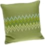 1891 by SFERRA Celebrity Linen 16 by 16-Inch Decorative Pillow, Apple