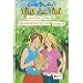 Tina und Tini 01.Tina und Tini suchen den geheimnisvollen Schatz