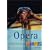 The Rough Guide to Opera (Rough Guides Reference Titles)