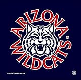 Arizona Wildcats NCAA Car Flag