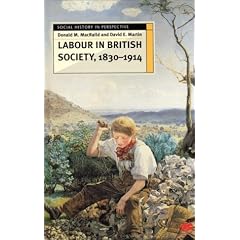 Labour in British Society, 1830-1914 (Social History in Perspective)