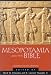 Book Mesopotamia and the Bible: Comparative Explorations