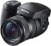 SONY DSC-R1 