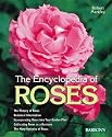 Encyclopedia of Roses: History, Botany, Characteristics, Design Examples, Planting and Care, the Best Species and Varieties
