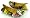 Yellow-10SSP105W