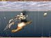 Age of Sail II : Privateer