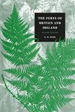 The Ferns of Britain and Ireland