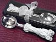 Fairytale wedding coach ice cream scoop