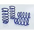 40mm lowering springs