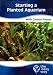 Starting A Planted Aquarium The Easy Way