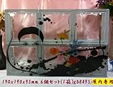 ノーブランド品 6個セット ガラスブロックガラス 日本基準サイズ 厚み95mm 片面特殊模様仕上