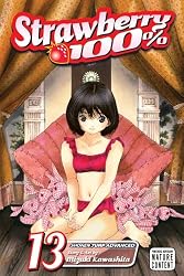 Strawberry 100%, Vol. 13