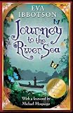 Journey to the River Sea - 10th Anniversary Edition