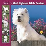 West Highland White Terriers 366 Days 2008 Square Wall