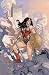 Search : Wonder Woman #13 Poster (Rolled) By Terry Dodson & Rachel Dodson 24