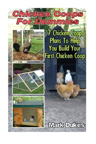 47+ How To Build A Chicken Coop For Dummies PNG