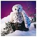 Folkmanis 2236 - Schneeeule