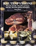 Rautenpythons: Morelia bredli, Morelia carinata und der Morelia-spilota-Komplex - Marc Mense