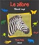 Le Z�bre, cheval ray�