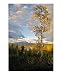 Golden Summer Scenic Photographic Poster Print by Paul Huchton, 16x20