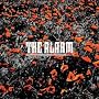In the Poppy Fields