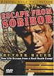 Escape From Sobibor [1987] (REGION 1) (NTSC) [DVD] [US Import]