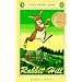 Rabbit Hill (Newbery Library, Puffin)