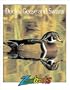 Ducks, Geese & Swans (Zoobooks Series)
